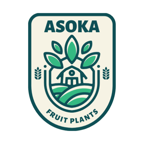 Asoka Logo