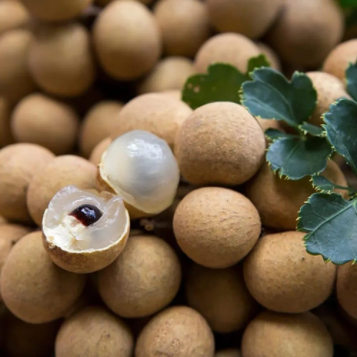 Diamond River Longan fruit tree for sale